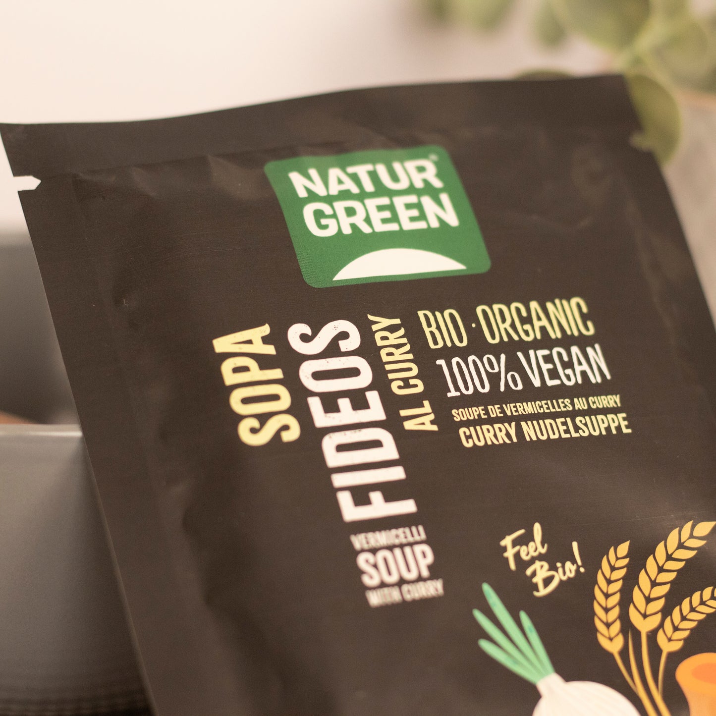 Pack 6x Sopa de Fideos al Curry Ecológica 40g NaturGreen